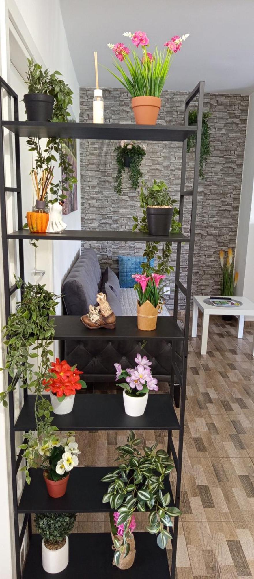 Apartmani Mirko Rovinj Kültér fotó