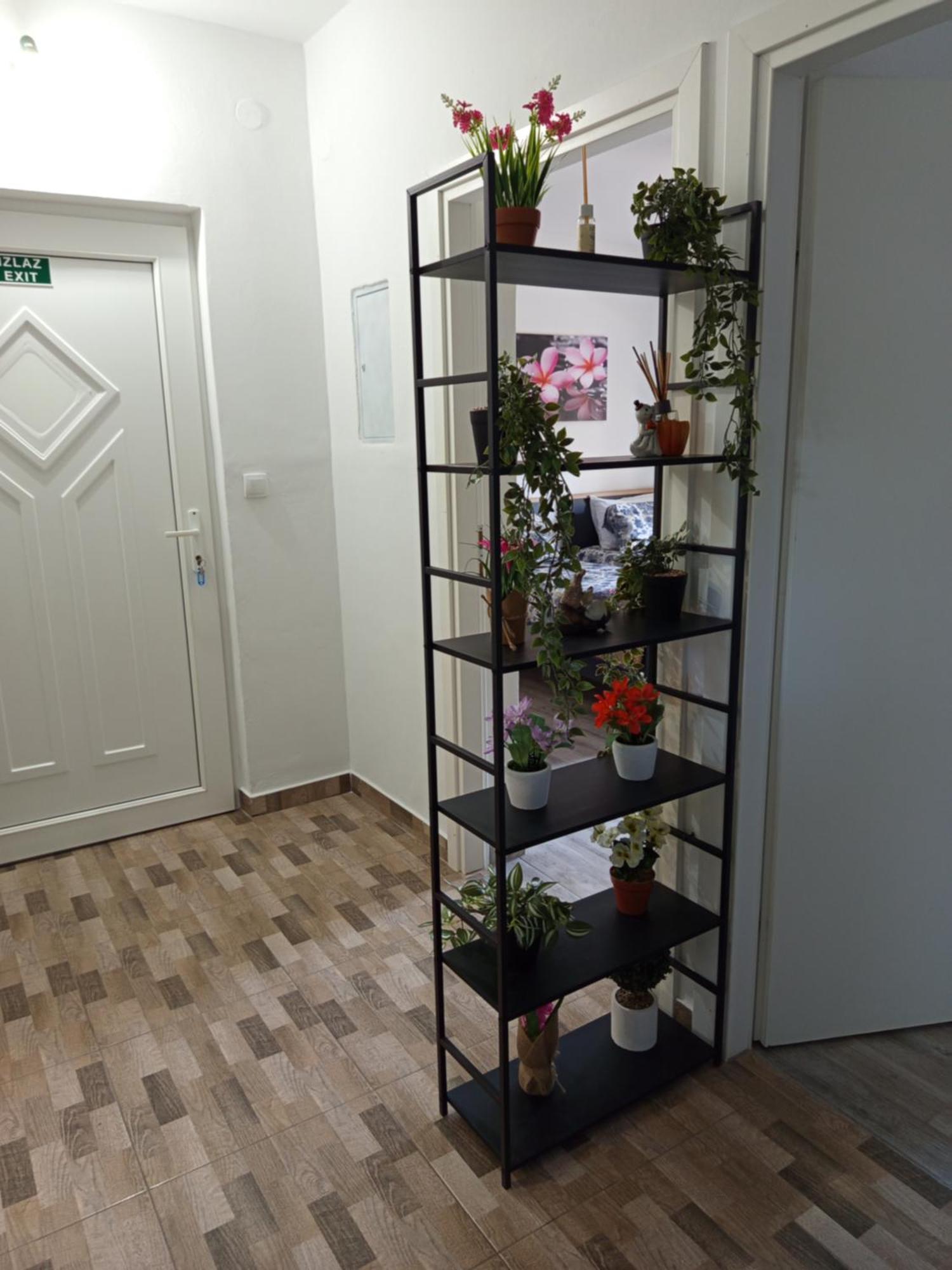 Apartmani Mirko Rovinj Kültér fotó